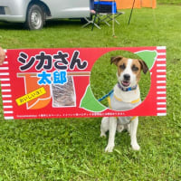 マーレの本音？