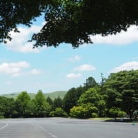 続・秋吉台と紫陽花