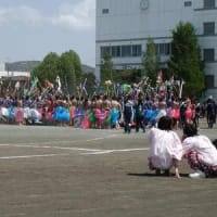 ２００９年盛岡一高大運動会