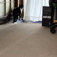突然の嵐