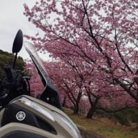【誕生日はバイク旅だ】ありがとうございました🙏