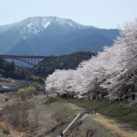 桜と恵那山