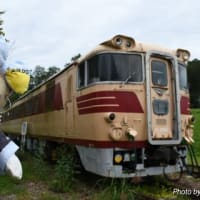 クロフォード公園　わず