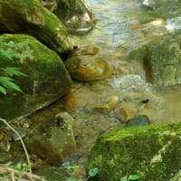 黄渓の湯探索