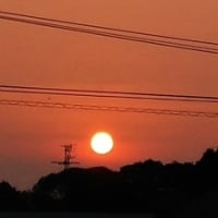 １００人超えで「ごちそうさまでした👏」