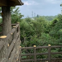 香川県最高峰の竜王山