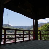 令和元年上期のスナップ