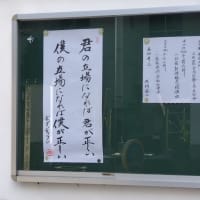 金土はいつも通り、日曜は多賀で