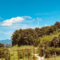 小海の畑で草刈りしました🌱