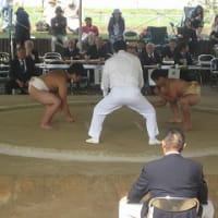 １０・１６　佐賀県少年相撲選手権大会　団体優勝！