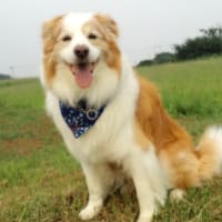 ロックっく♪