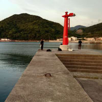 和歌山県の漁港でエギング＆メバリング