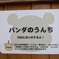 アドベンチャーワールド