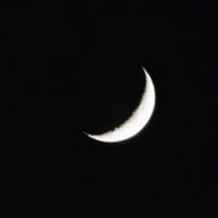 今日いち-2025年6月30日