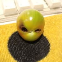 へんな顔　宇宙人