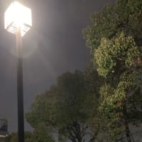 空想『さよなら公園の桜』花見会