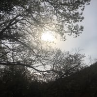 割りと大事なこと。自分を開く方法。
