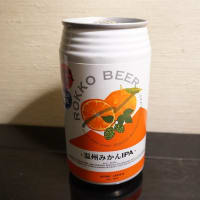 個性派缶ビール【ROKKO BEER－温州みかんIPA－】大阪で一人吞む酒…