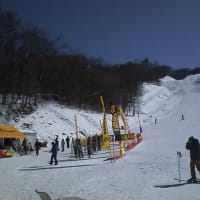 スキーテスト