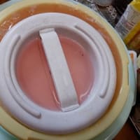 梅・・あれこれ