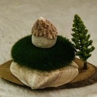 貝殻屋根の小さなお家を買いました