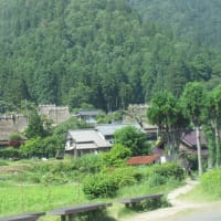 食い物の恨みは・・・78
