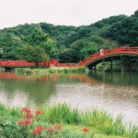 旅の合間