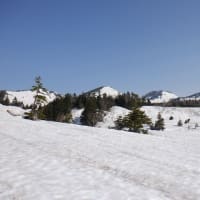 今シーズン最後の山スキー。岩木山～八甲田　(^^♪