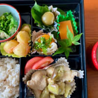 七つ星のお弁当