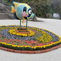 偉大な水の物語No.610宇宙編　星座577＋微生物びっくり箱99＋野