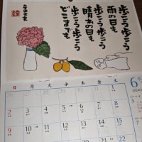 ６月のカレンダー＆我が家の花