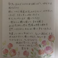 馬花 189