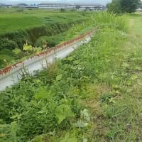 【025年07月15日 接道整備道路路線現況】
