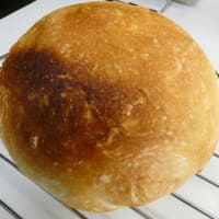        つかの間の晴れでリセット・・・