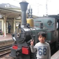 瀬戸内のウサギだらけの島