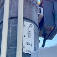 今年もあと半年【福岡市社交ダンス教室・福岡市社交ダンススタジオ・薬院、渡辺通、柳橋・福岡のダンススクールライジングスター】