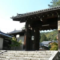 京都　紅葉100シリーズ　岩倉・実相院 NO.25