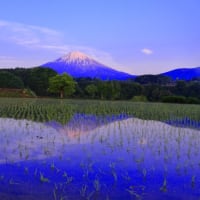 富士山　「　田園での深夜早朝散策　」　逆さ追いの1拡大...