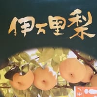 伊万里梨