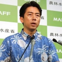 備蓄米を無限に放出に歓喜するメディア、安くすることが減産に繋がることを想起せよ