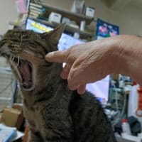 ブログ終わるって😭