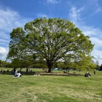 昭和記念公園