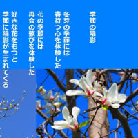季節の陰影