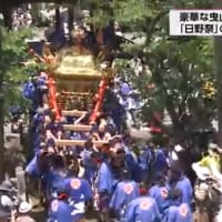 「日野祭」本祭 豪華な曳山（ひき山）が盛り上げ（滋賀県日野町）