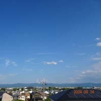 2024.8.14　大き過ぎ