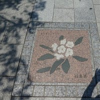 皇居歩道を散歩・・・見つけた県名表示の花ブロック