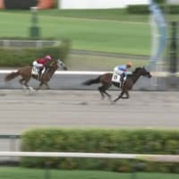 プロミストジーン新馬勝ち