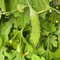 6月も明日で終わりですね