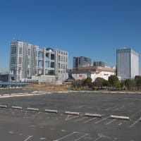 １月のお台場：水と緑のプロムナード散策道とゆりかもめ・旧船の科学館駅　ＰＡＲＴ２