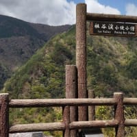 峡谷の小便小僧